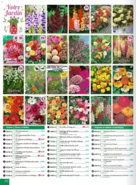 Catalogue Maximo page 20