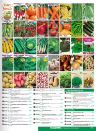 Catalogue Maximo page 21