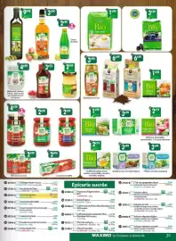 Catalogue Maximo page 39