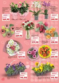 Kaufland leták týden 10 Strana 27