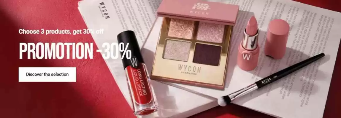 Volantino Wycon (valido fino al 31-03)