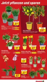 Toom Baumarkt Prospekt woche 10 Seite 3