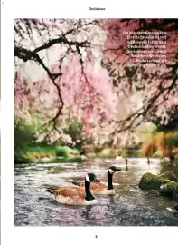 Fressnapf Magazin Seite 13