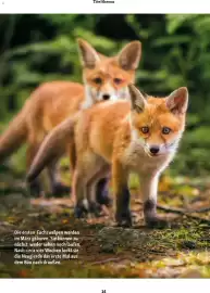 Fressnapf Magazin Seite 14