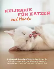 Fressnapf Magazin Seite 16