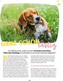 Fressnapf Magazin Seite 24