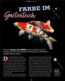 Fressnapf Magazin Seite 26