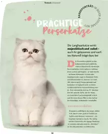 Fressnapf Magazin Seite 34