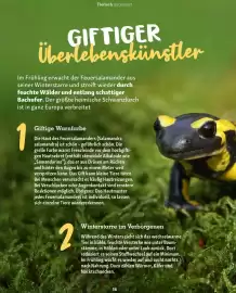 Fressnapf Magazin Seite 36