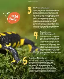 Fressnapf Magazin Seite 37