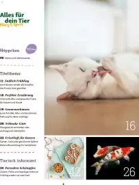 Fressnapf Magazin Seite 4