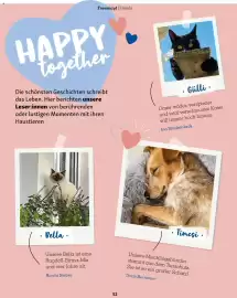 Fressnapf Magazin Seite 52