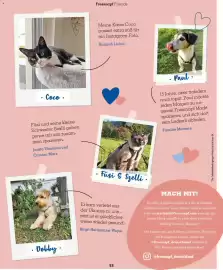 Fressnapf Magazin Seite 53