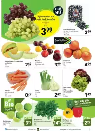 Citti tilbudsavis uge 10 Side 5