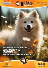 Volantino Giulius Pagina 1