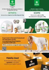 Volantino Giulius Pagina 12