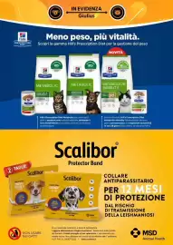 Volantino Giulius Pagina 2