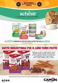 Volantino Giulius Pagina 4