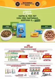 Volantino Giulius Pagina 5