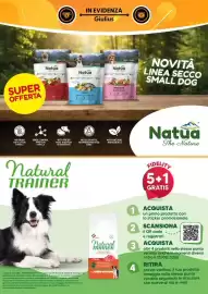 Volantino Giulius Pagina 6