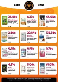 Volantino Giulius Pagina 8