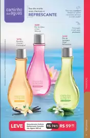 Catálogo Jequiti Página 31