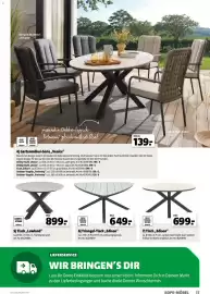 Hagebau Prospekt Seite 17