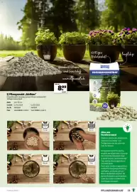 Hagebau Prospekt Seite 73