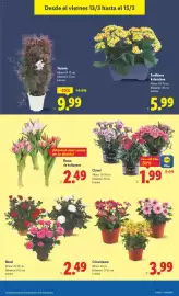 Catálogo Lidl semana 11 Página 51