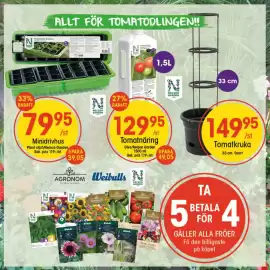 EKO reklamblad vecka 10 Sida 2