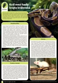 Super Zoo leták Strana 18