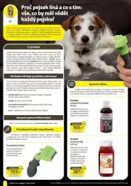 Super Zoo leták Strana 8