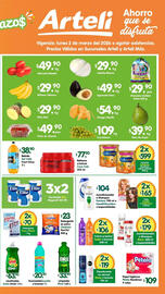 Folleto Arteli Página 2