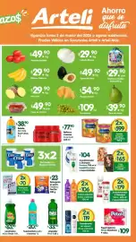 Folleto Arteli Página 2