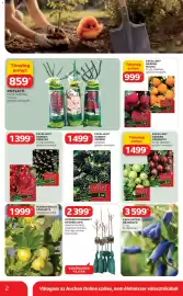 Auchan akciós újság Oldal 2