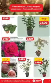 Auchan akciós újság Oldal 3