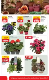 Auchan akciós újság Oldal 4