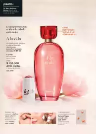 Catálogo Yanbal Página 38