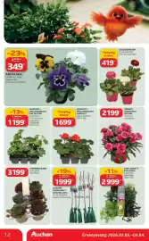 Auchan akciós újság | Szupermarket Oldal 12