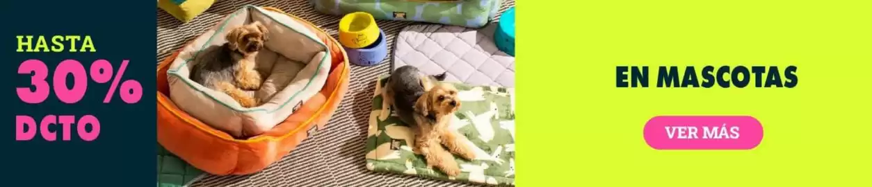 Catálogo Casaideas Página 14