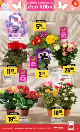 Polomarket gazetka tydzień 10 Strona 5