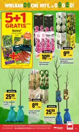 Polomarket gazetka tydzień 10 Strona 51