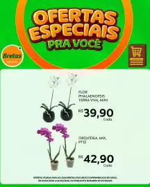 Catálogo Supermercados Bretas Página 3