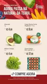 Catálogo Natural da Terra Página 1