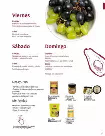 Catálogo Veritas Página 21