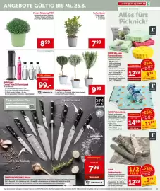 Interspar Flugblatt woche 10 Seite 13