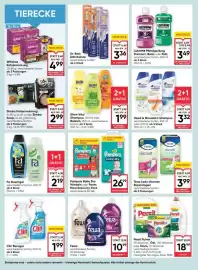 Maximarkt Flugblatt woche 10 Seite 16