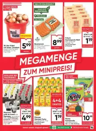 Maximarkt Flugblatt woche 10 Seite 7
