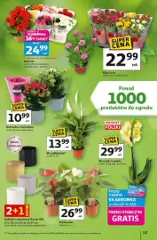 Auchan gazetka tydzień 10 Strona 13