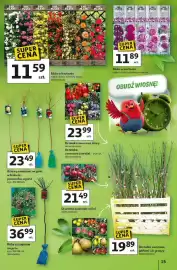 Auchan gazetka tydzień 10 Strona 15